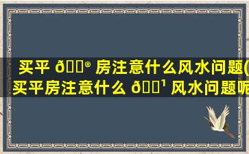 买平 💮 房注意什么风水问题(买平房注意什么 🌹 风水问题呢)